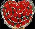 gift1